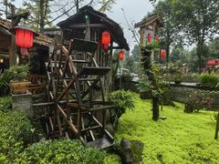 -青城甲(青城山店)