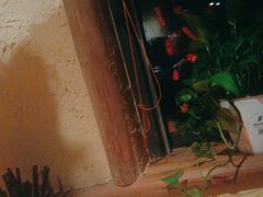 -泥糊破店小酒馆·团建聚餐(南京西路店)