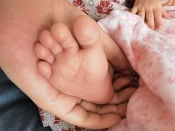 -喜宝母婴月子会所