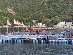 -南丫岛