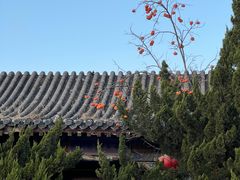 -八奇洞景区