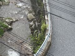 -东天目山风景区