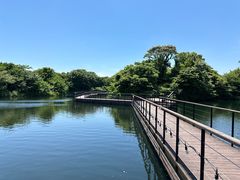 -济州森林小火车生态公园
