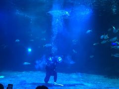 -石家庄海洋公园