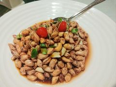 -潇湘甲鱼村(清河店)