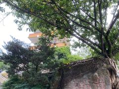 -鹅岭公园瞰胜楼