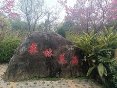 -广州市流溪河国家森林公园