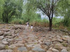 -长广溪湿地公园
