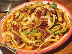 -柴窝堡22号辣子鸡·传承新疆菜