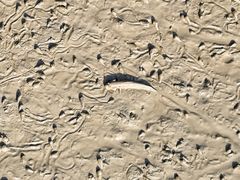 -北海金海湾红树林生态旅游区