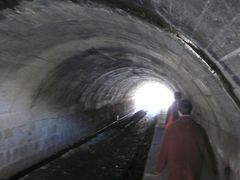 -白水寺森林公园