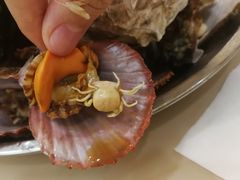 蒸海鲜拼盘-北方饺子王·海肠捞饭·海鲜锅(山大店)