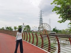 -王借岗森林公园