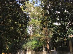 -南京大学-第9食堂