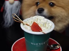 -NokNok Coffee(宽窄巷子店)