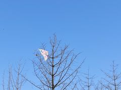 -西山漾湿地公园