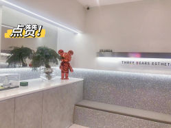 -三只熊皮肤管理中心旗舰店