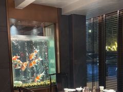 -浩运·海鲜青岛菜·海胆水饺(石老人店)