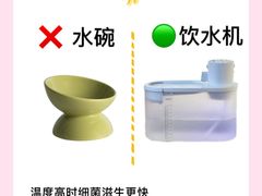 -守诺宠物医院·眼科· 特色牙科·异宠专科(虹口店)