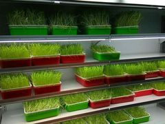 -番食园鲜食火锅(高新店)