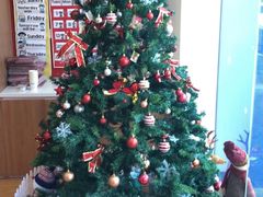 -奇尔思青少儿·语言·艺术·演讲(顾戴路店)