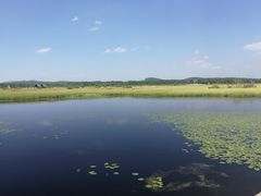 -塞罕坝国家级自然保护区