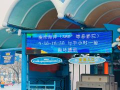 -海合安青岛极地海洋公园