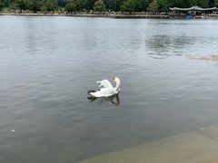 -海德公园