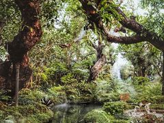 -Chom Cafe and Restaurant