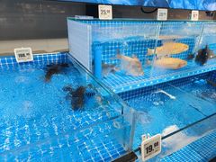 -物美超市(通州梨园店)
