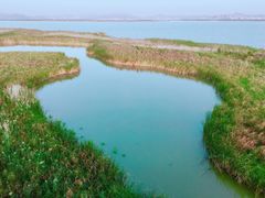 -漩门湾国家湿地公园