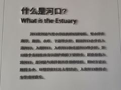 -上海长江河口科技馆