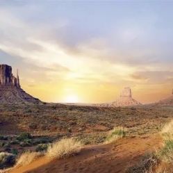 -薇兰专业脱毛连锁机构