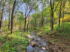 -玉渡山自然风景区