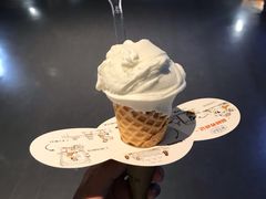 牧场牛乳冰激凌-野人牧坊Gelato(天津南开大悦城店)