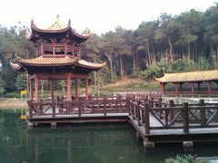 -铁山坪森林公园