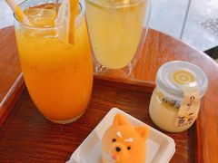 -柴犬高等学院·狗咖·柴犬售卖·宠物训练