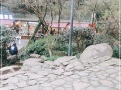 -茶颜悦色(岳麓山顶店)