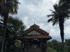 -云南民族村