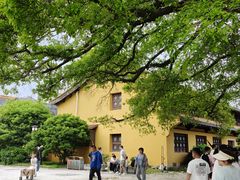 -江心屿景区