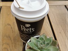 -Peet's 皮爷咖啡(陆家嘴中心店)
