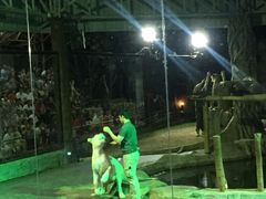 -清迈夜间动物园