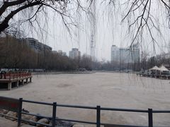 -莲湖公园