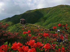 -大围山国家森林公园