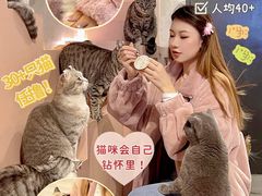-猫儿山۰猫主题餐厅