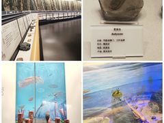-贵州省地质博物馆