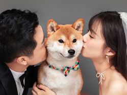 -格调婚纱摄影 (福州总店)