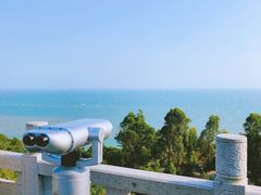 -广东惠东海龟国家级自然保护区