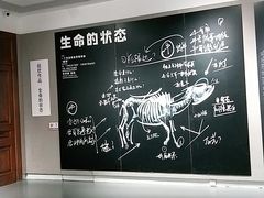 -大连美术馆