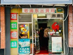 -九斤黄三黄鸡专卖店